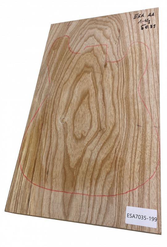 Body Sumpfesche, 1-tlg., für Bass Einzelstück #199